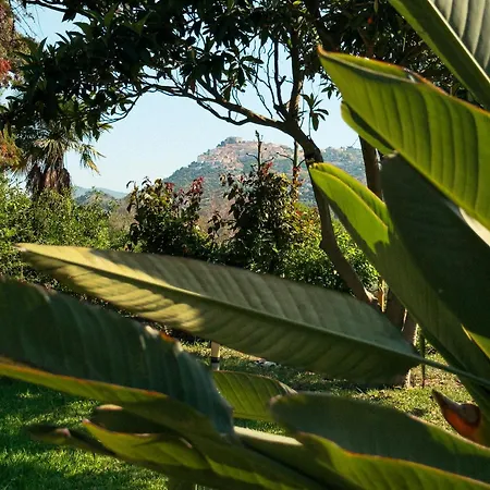 Giacaranda Nocleg ze śniadaniem