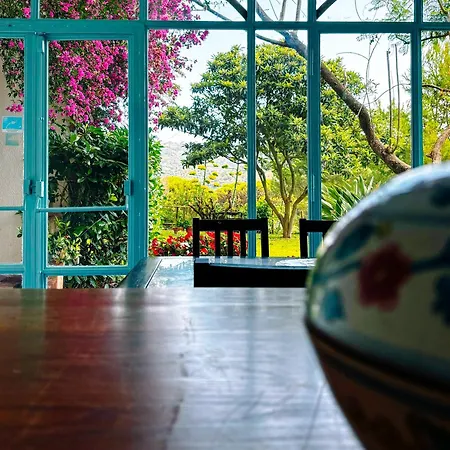 Giacaranda Nocleg ze śniadaniem 3*