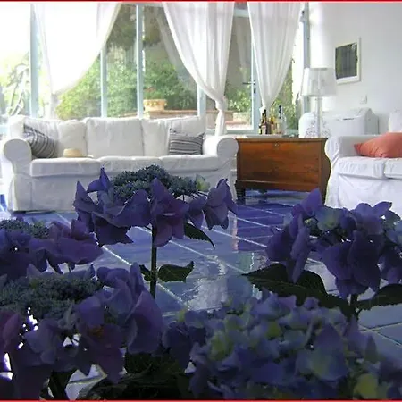 Giacaranda Bed & Breakfast Castellabate