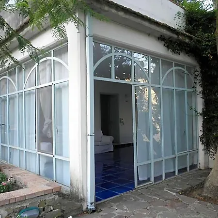 Giacaranda Castellabate