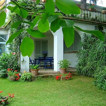 Giacaranda 3* Castellabate