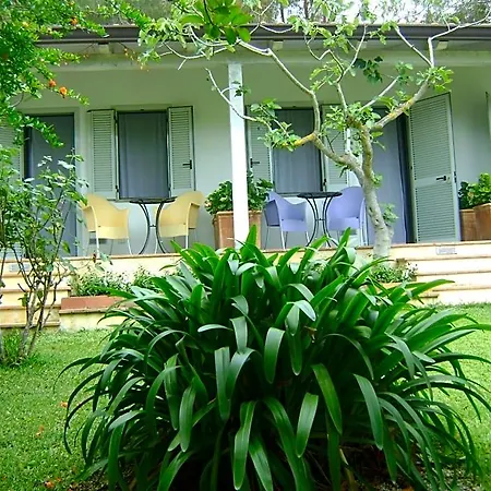 Giacaranda 3* Castellabate