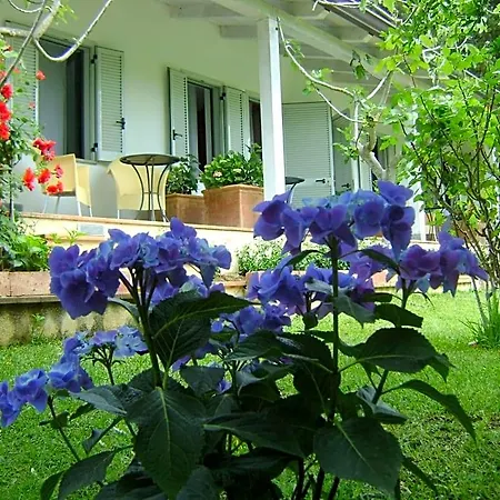Giacaranda Castellabate