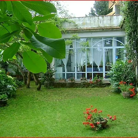 Giacaranda Bed & Breakfast Castellabate