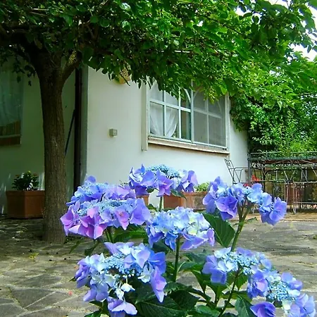 Giacaranda 3* Castellabate